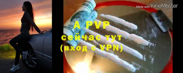 ешки Инта