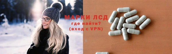 гидропоника Каменногорск
