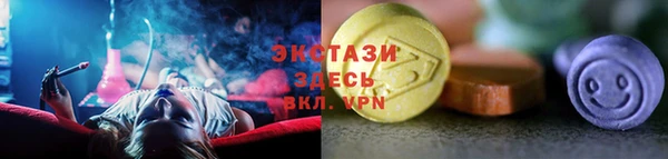 ешки Инта