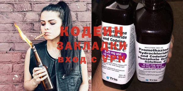 хмурый Инсар