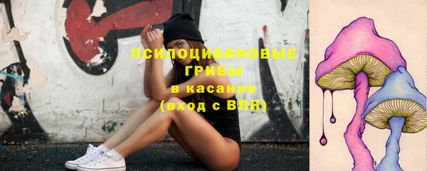 гидропоника Каменногорск