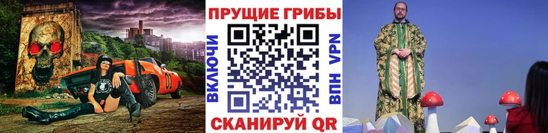 Купить  Емва  Псилоцибиновые грибы GOLDEN TEACHER 